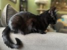 IMG_1632.jpeg