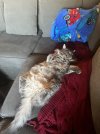 IMG_0920.jpeg