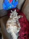 IMG_0925.jpeg