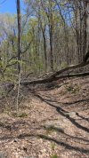 PXL_20250424_164059164.jpg