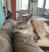 IMG_2374.jpeg