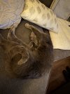 IMG_2903.jpeg