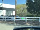 IMG_4256.jpeg