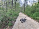 IMG_3202.jpeg