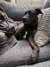 IMG_2615.jpeg