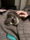 IMG_2617.jpeg