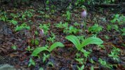 Dsc00099.jpg
