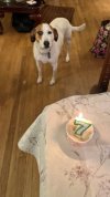 IMG_5991.jpeg
