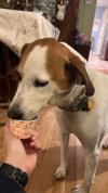 IMG_5994.jpeg