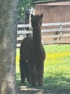 IMG_8391.jpeg
