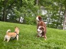 IMG_3901.jpeg