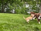 IMG_3902.jpeg