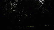 PXL_20250520_020139734.NIGHT-ezgif.com-video-to-gif-converter.gif