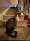 IMG_3857.jpeg