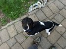 IMG_6725.jpeg