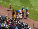 IMG_8826.jpeg