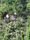 IMG_2153.jpeg