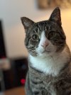 IMG_3933.jpeg