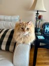 IMG_4547.jpeg
