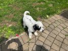 IMG_6802.jpeg