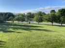 IMG_8052.jpg