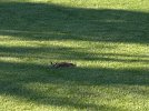 IMG_8053.jpg