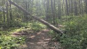 PXL_20250602_185501703.jpg