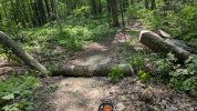 PXL_20250602_190306974.jpg