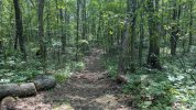 PXL_20250602_193455234.jpg