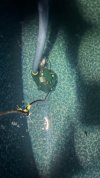 IMG_6720.jpeg