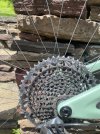 IMG_9020.jpeg