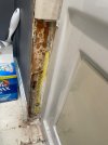 IMG_0651.jpeg