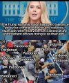 FB_IMG_1749639125092.jpg