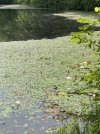 IMG_8279.jpg