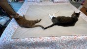 IMG_6744.jpeg