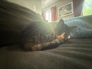 IMG_1131.jpeg