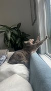 IMG_4830.jpeg