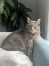 IMG_4826.jpeg