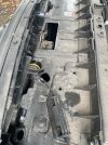IMG_8970.jpeg