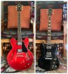 gibsons-IMG_6550.jpg