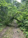 IMG_3169.jpeg