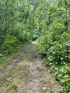 IMG_3172.jpeg