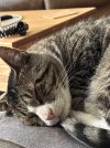 IMG_4254.jpeg