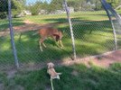 IMG_4529.jpeg