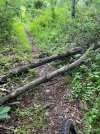 IMG_6120.jpeg