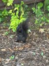 IMG_4285.jpeg