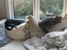 IMG_4857.jpeg