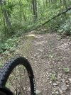 IMG_3459.jpeg