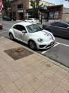 IMG_2817.jpeg