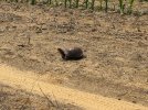 IMG_8474.jpeg